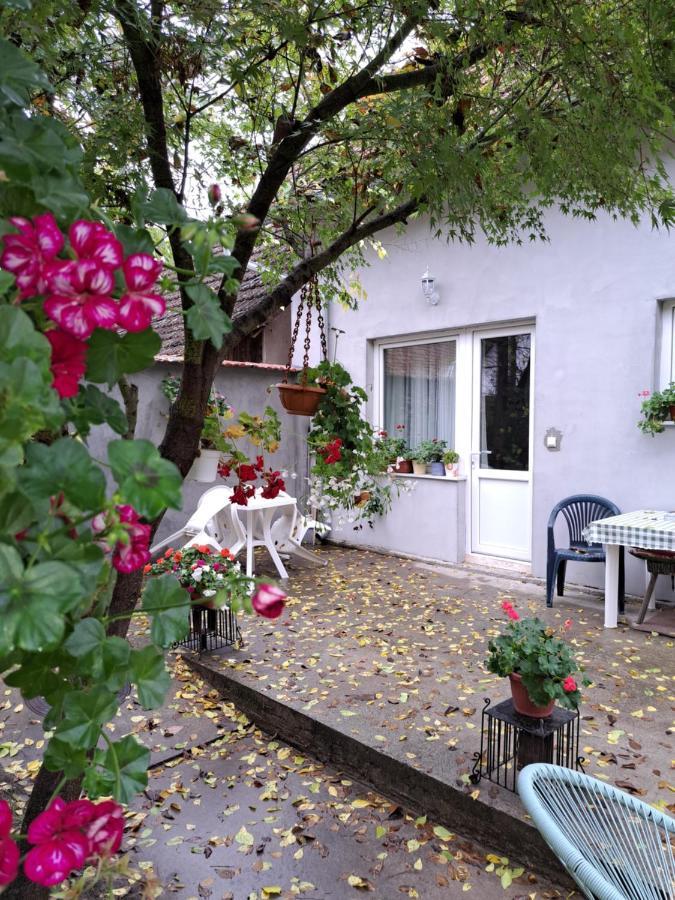 Soul Hotell Palić Exteriör bild